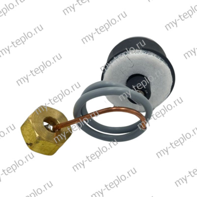 Манометр для котлов Baxi ECO LIFE (KTmanomECOLIFE)